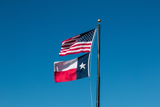 Thumbnail of USA and Texas flags waving